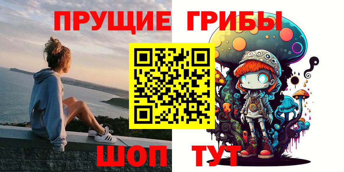 Галлюциногенные грибы Cubensis  Псилоцибиновые грибы мицелий  Тулун  Вход с VPN 